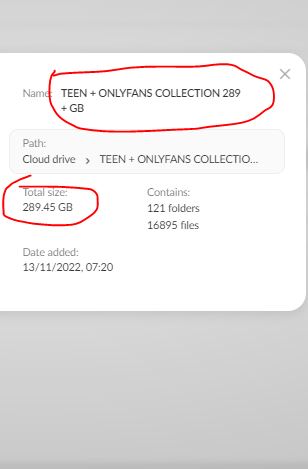 TEEN + ONLYFANS COLLECTION 289+ GB Collection ✨