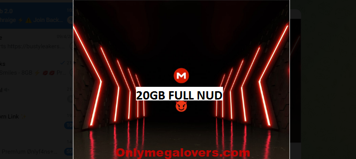20GB Bulk Premium Porn SiteRips Pack Of 2024