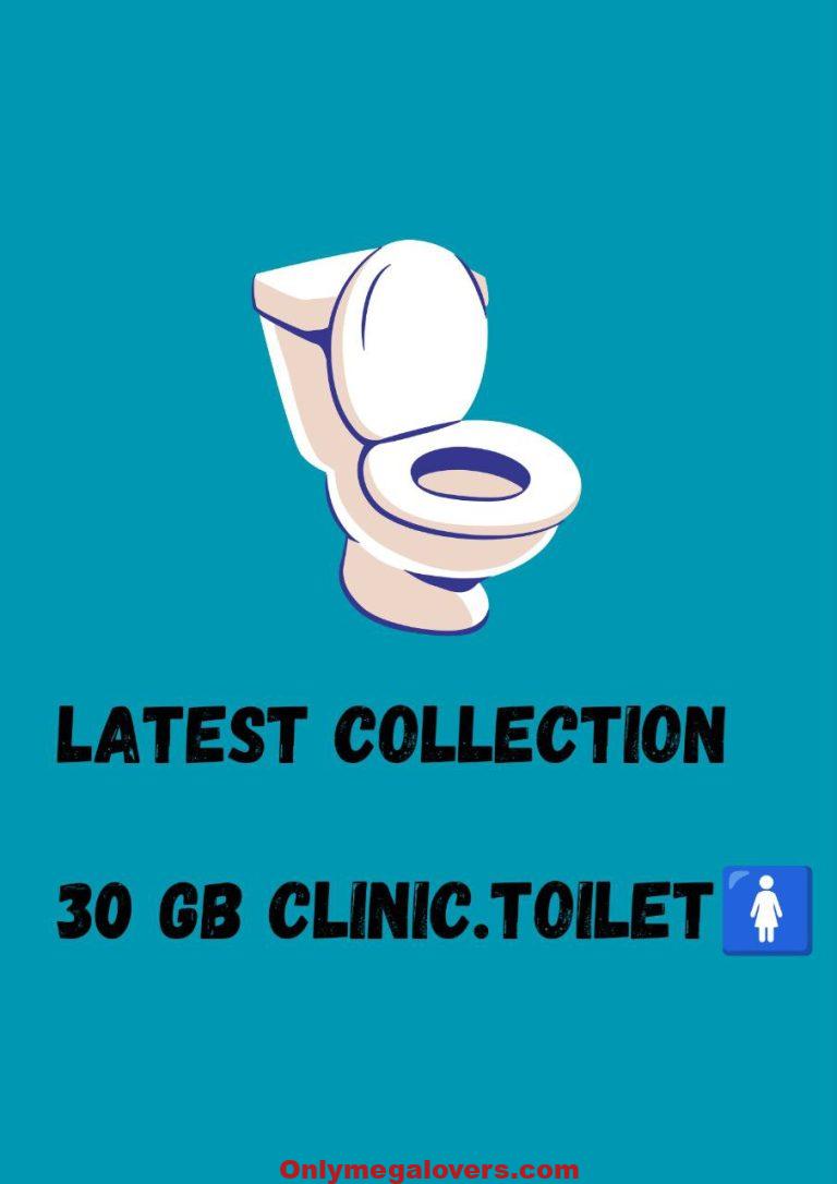 30 GB Clinic Toilet Leaks