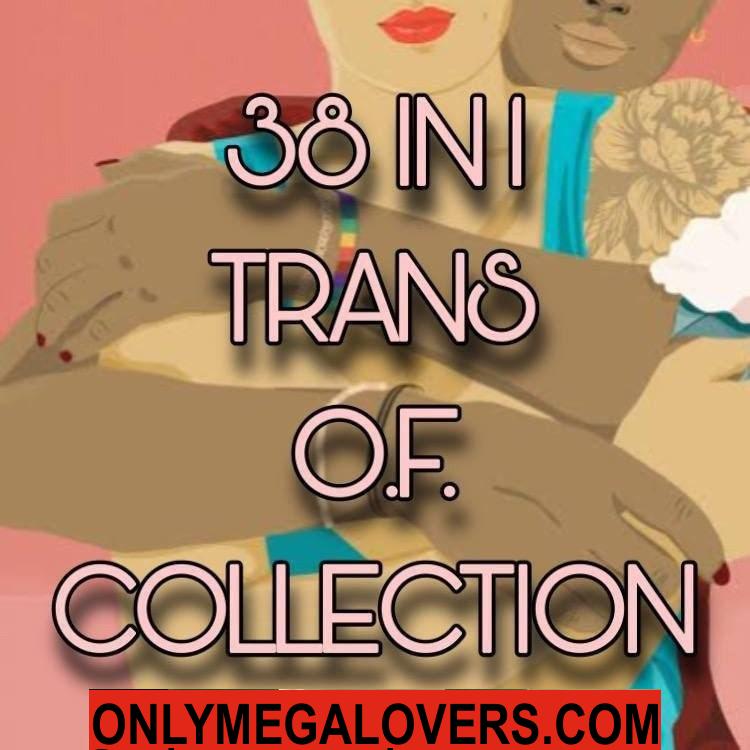 38 IN 1 TRANS O.F COLLECTION