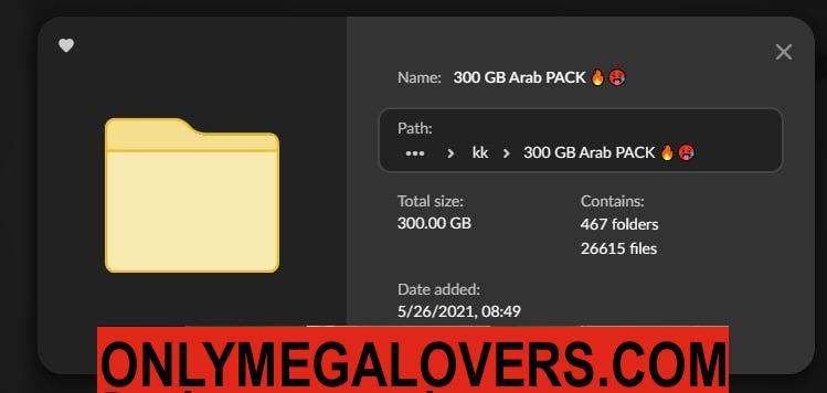 300 GB Arab Pack